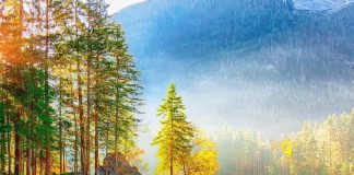 E KËRKOVA NGA ALLAHU XHENETIN, MA DHA DYNJANË!