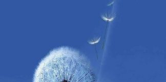 SA I BUKUR QË ËSHTË MENDIMI I MIRË PËR ALLAHUN