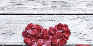 VËLLA, MOS U MARTO!!