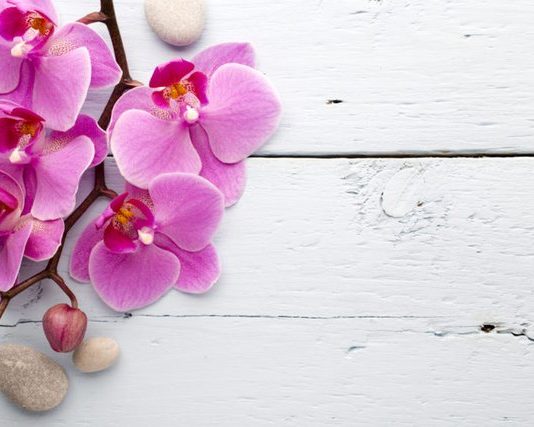 E TËRA NGA TI QË KËRKOHET ËSHTË GRUAN MOS TA LËNDOSH