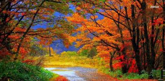 KATËR GJËRA MOS I LËR GJATË TËRË JETËS