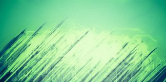 SI TA PËRFITOJMË MËSHIRËN E ALLAHUT