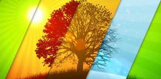 KATËR STINËT E VITIT