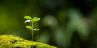 Ç’MBJELLË, KORRË!