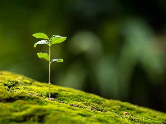 Ç’MBJELLË, KORRË!