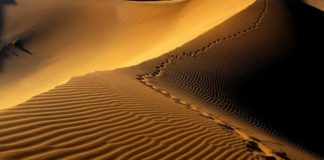 ASKUSH NUK PREZANTOI NË XHENAZEN E PRINDIT TË VET