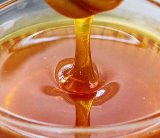 GJUHA NGA MJALTI DHE AJO NGA UTHULLA