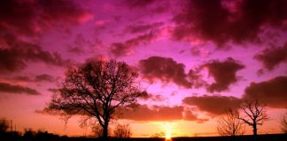 FËMIJA QË I FRIKËSOHET ALLAHUT MË SHUMË SE NE