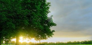 VAJZA ME TË CILËN KEMI RA NË DASHURI TË GJITHË