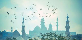 JETA PA MORAL NUK KA VLERË