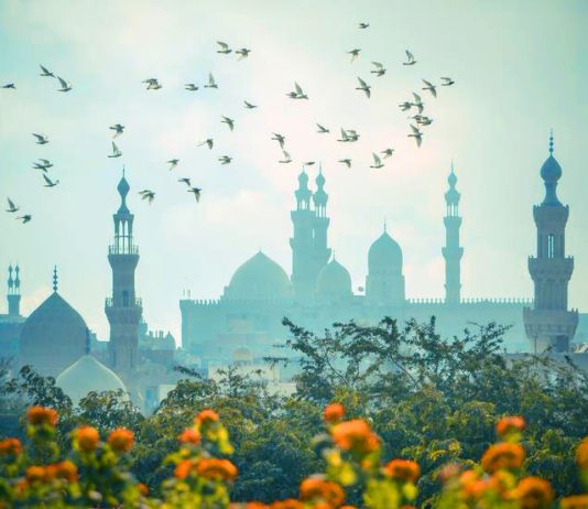 JETA PA MORAL NUK KA VLERË