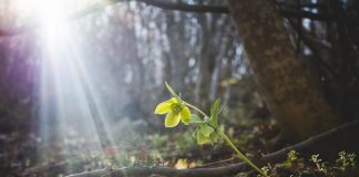 PASHA ALLAHUN, TANI JAM DUKE E PARË VETEN NË XHENET!