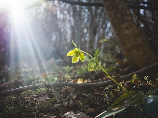 PASHA ALLAHUN, TANI JAM DUKE E PARË VETEN NË XHENET!