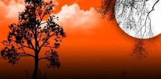 ASNJË SHPIRT NUK VDES PA E PLOTËSUAR RISKUN E VET