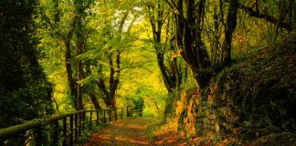 ILAÇI I ÇDO PROBLEMI