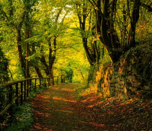 ILAÇI I ÇDO PROBLEMI