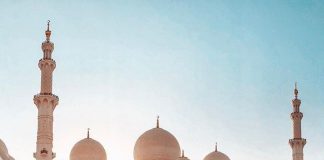 DITA E XHUMA – RREGULLA DHE DOBI