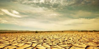 DYNJANË E KUPTON KUR E HEDH DHEUN MBI ATË QË E DO