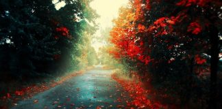 JETA NUK ËSHTË MË SHUMË SE NJË RRËFIM I SHKURTËR