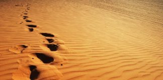 TA MËSOJMË TË SHKRUARIT MBI RËRË