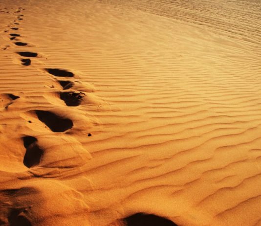 TA MËSOJMË TË SHKRUARIT MBI RËRË