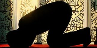 SEXHDEJA E HARRESËS (SEVI SEXHDEJA) – RREGULLA DHE DISPOZITA