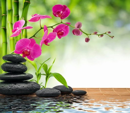 SIPAS QËLLIMIT SHPËRBLEHESH