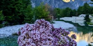 O JU BURRA, BËHUNI TË SJELLSHËM NDAJ GRAVE!!