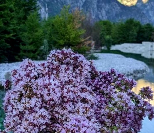 O JU BURRA, BËHUNI TË SJELLSHËM NDAJ GRAVE!!