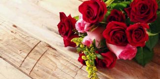 GRUAJA LAVIRE DHE DJALOSHI I DEVOTSHËM