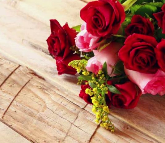 GRUAJA LAVIRE DHE DJALOSHI I DEVOTSHËM