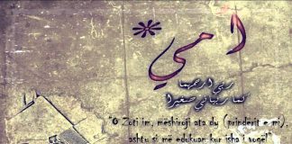 KUSH ËSHTË MË E PASUR, NËNA IME APO NËNA JOTE!!