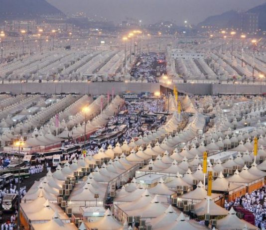 DITËT E TESHRIKUT – DISPOZITA DHE DOBI