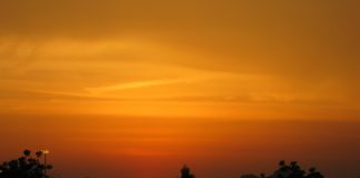 DITA E ARAFATIT – DISPOZITA DHE DOBI