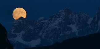 DHJETË DITËT E DHULHIXHES – DISPOZITA DHE DOBI