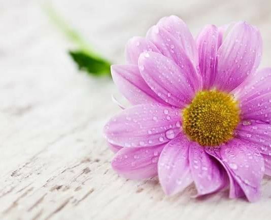 KUSH NUK E KUPTON FEMRËN NUK IA DI ASAJ VLERËN!!