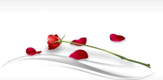 LUMTURIA BASHKËSHORTORE