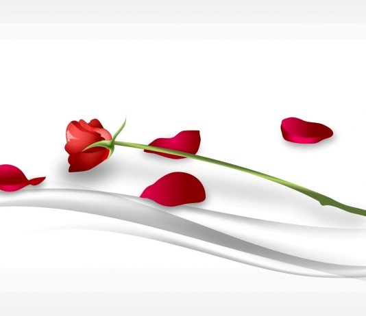 LUMTURIA BASHKËSHORTORE