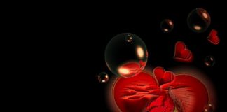 DUA QË DHEMBJEN TA NDJEJMË TË DY BASHKËRISHT!