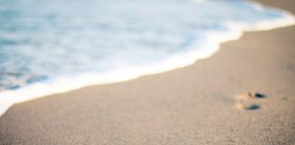 PUSHIMI VEROR DHE UDHËTIMI