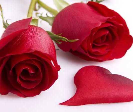 NËNA JOTE TË MOS PREZANTOJË NË DASËM NËSE DO QË TË MARTOHEM ME TY!