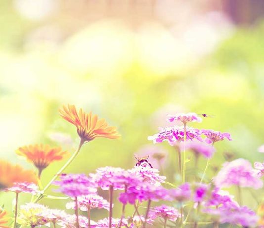 NËNË KËTË VAJZË E DUA PËR GRUA!