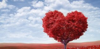 KUR E DO NJË GRUA BURRIN E SAJ?!