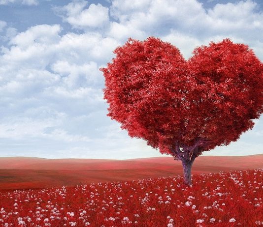 KUR E DO NJË GRUA BURRIN E SAJ?!