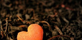 MOTËR, KY ËSHTË PRINCI I ËNDRRAVE!!