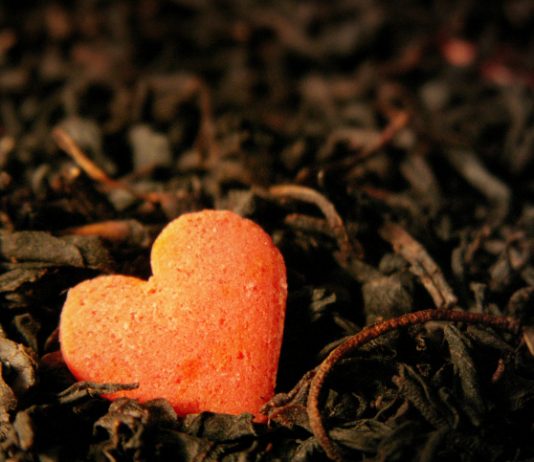 MOTËR, KY ËSHTË PRINCI I ËNDRRAVE!!