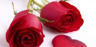 DASHURIA NË HALLALL DHE NË HARAM!!