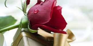 GRUAJA DUHET TA MËSOJË KËTË!!