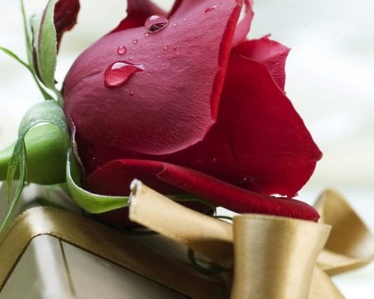 GRUAJA DUHET TA MËSOJË KËTË!!