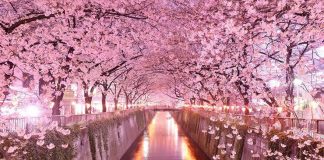 JU POROSIS, ME GRATË E JUAJA TË SILLENI MIRË!!